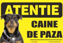 Inspectorii sanitari veterinari prahoveni au aplicat sancţiuni de aproape 70.000 de lei într-o singură lună