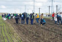 Autorităţile, chemate să pună la bătaie terenuri pentru înfiinţarea de perdele forestiere