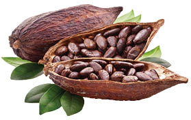 cacao