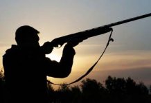 Italieni veniţi la vânătoare în Prahova, prinşi în neregulă