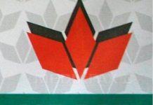 Se cere retragerea avizului pentru un monument cu simboluri legionare de la Valea Uzului