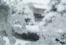 ANM: Val de frig şi nopţi geroase