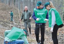 Lunca Mare, Ocolul Silvic Câmpina. Locul unde pădurea şi-a cerut dreptul…