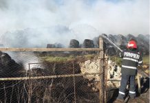 Mii de baloţi din paie au ars, ieri, la Păuleşti