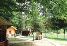 Trasee turistice din Munţii Zărandului, omologate