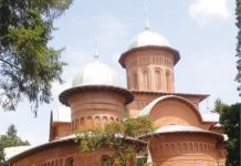 Un an de la moartea Reginei Ana