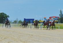 Se „sparge banca” pentru Premiul CSM