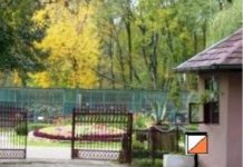 Animale de la Circul Globus, aduse la Zoo Bucov