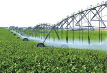 Premieră: apă gratis pentru irigarea terenurilor agricole!