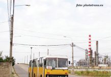 TCE Ploieşti a introdus în circulaţie autobuze cu vibromasaj, pe traseul 104