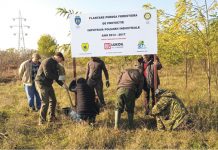 Fosta groapă de gunoi a Ploieştiului s-a transformat într-o pădure tânără