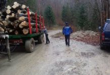 Prinsă în neregulă cu material lemnos pe raza Ocolului Silvic Măneciu, o persoană a fost amendată cu trei mii de lei