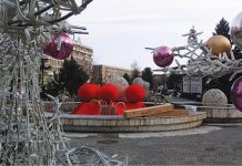 Pinguinii de la Polul Sud „şi-au luat zborul” din centrul Ploieştiului!