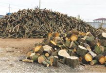 Preţul lemnului de foc a crescut, în România, cu circa 250%, în perioada 2011-2017