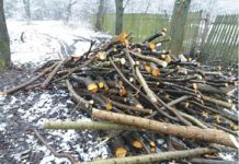 Doi dintr-o lovitură: bărbaţi din Bărcăneşti şi Berceni prinşi la furat de lemne