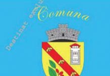 Prima comună europeană din judeţ are propriul steag