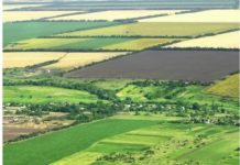 Proprietarii de terenuri necadastrate nu vor mai putea primi subvenţii europene din 2020