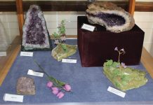 La Palatul Culturii, expoziţie cu flori de mină