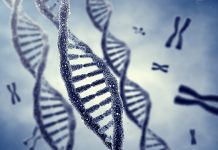 Pentru apariţia unui tip de cancer este nevoie de „doar câteva“ mutaţii genetice