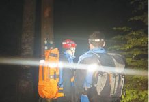 Au scăpat din ghearele ursului urcându-se într-un brad!