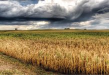 Spania își schimbă vremea