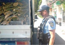 Tentativele de furt din pădurile administrate de către Direcţia Silvică Prahova continuă…