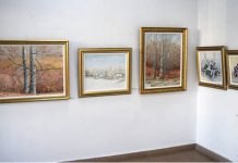 Marcel Bejgu, pictorul nemărginitului dialog al pământului cu cerul