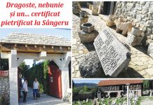 În Prahova, un muzeu unic al pietrelor şi al „sculpturilor lui Dumnezeu”