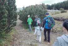 O familie cu doi minori, rătăcită pe Jepii Mici, salvată de jandarmii montani