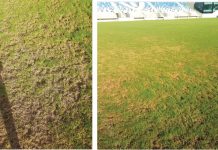 S.O.S. gazonul de pe „Ilie Oană”!