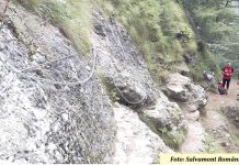 Traseul turistic Jepii Mici, reamenajat