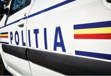 A fugit de poliţişti cu 31 de căpăţâni de bovină în maşină. Şi nici măcar nu le furase !