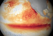 Organizaţia Meteorologică Mondială: Un nou fenomen climatic El Niño s-ar putea produce în cursul acestei ierni