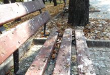 Bulevardul găinaţilor, o imagine urât mirositoare a Ploieştiului!