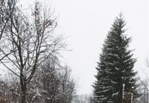 Prima zăpadă, primele intervenţii de deszăpezire a drumurilor judeţene