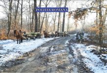 Plângeţi-le de milă hoţilor de lemne! Recidivişti prinşi în toiul nopţii furând la Plopeni, hoţi ridicaţi din Vălenii de Munte