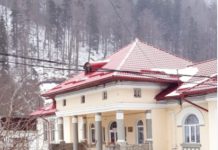 „Frumoasa jertfă a pădurii mele”