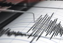 Cutremur cu magnitudinea de 4,1 pe scara Richter în Vrancea