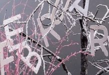 Bref: Februarie – luna păzitorului de ciumă, a logodnei şi a semnelor cereşti