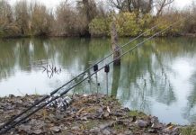 A început prohibiţia generală a pescuitului în România