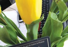 La Ploieşti – cardul iubirii de teatru !