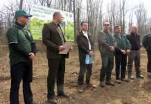 Dacă mai era nevoie de o dovadă a profesionalismului angajaţilor Direcţiei Silvice: