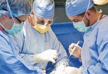 Sângele, foarte important pentru regenerarea ficatului