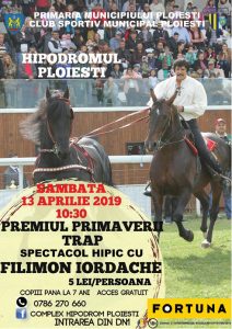 hipo b