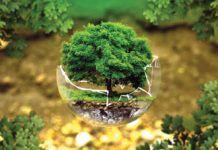 Unica soluţie la pericolele care ameninţă viitorul planetei se găseşte… sub picioarele oamenilor!