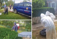 Pestă porcină africană, într-o gospodărie din Poienarii Burchii