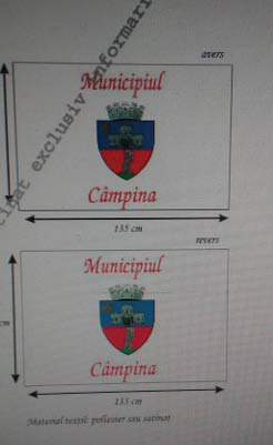 steag Campina