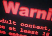 Cea mai mare reţea de pornografie infantilă din lume a fost destructurată