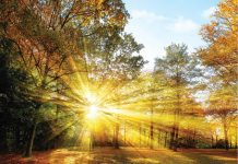 Octombrie 2019, cea mai caldă lună de octombrie înregistrată până acum