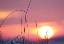 Mâine începe iarna astronomică!